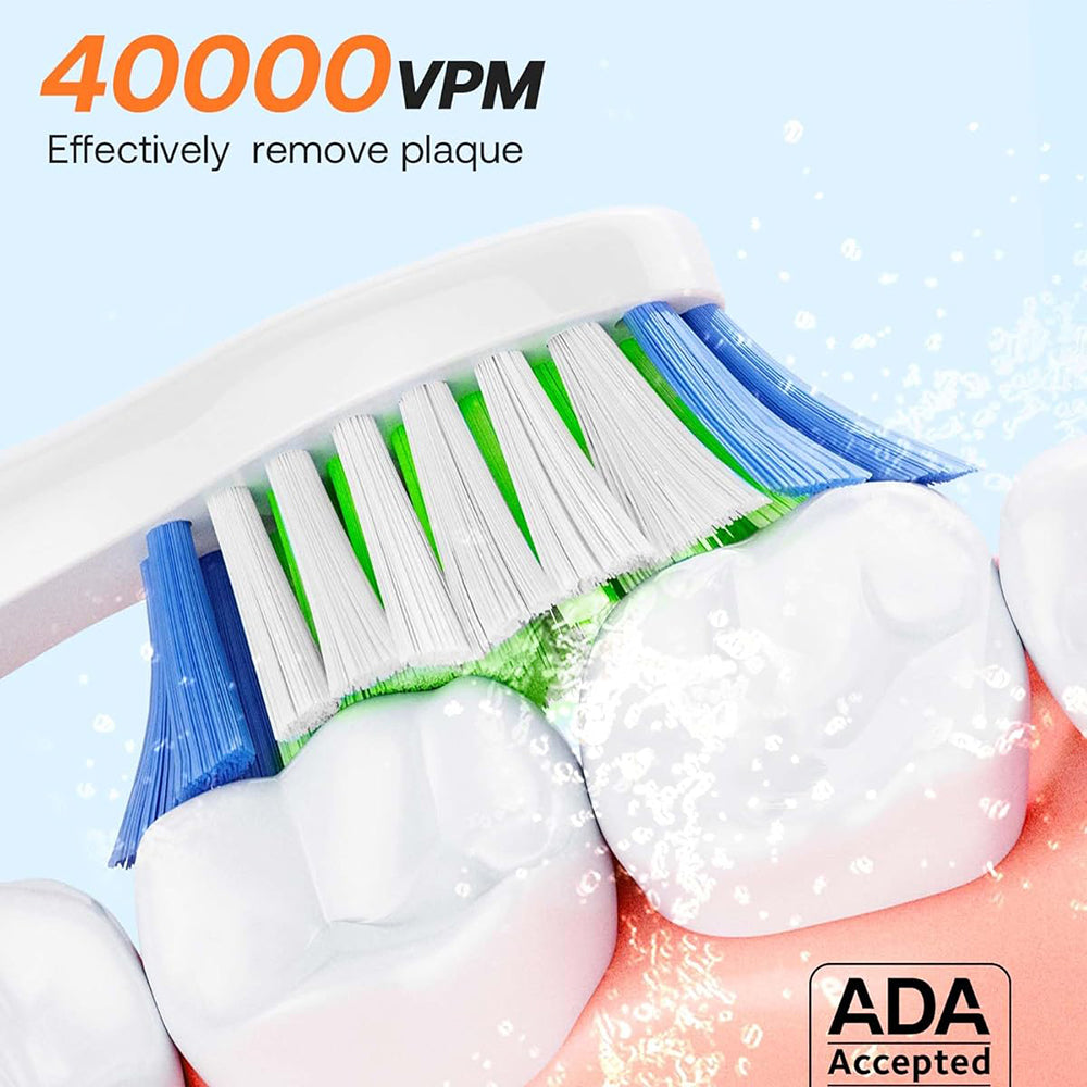 Bitvae Electric Toothbrush Daily (D2), Ultrasonic, 8 Heads, Case, Timer, 5 Modes, W-shape Bristles, Rechargeable, Roz