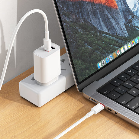 Cablu Borofone Beneficio Series (BX110), Premium Line, Type-C to Type-C, High-quality, Fast Charging, 60W, 1m, Alb