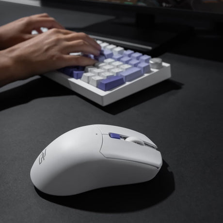 Tastatura/Mouse Proove Wireless Mouse Everon (WMEV00022001), for Gaming, Type-C, 6 Buttons, 800-10000DPI, 500mAh, 1.5m, Negru