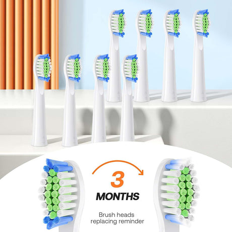 Bitvae Electric Toothbrush Daily (D2), Ultrasonic, 8 Heads, Case, Timer, 5 Modes, W-shape Bristles, Rechargeable, Roz