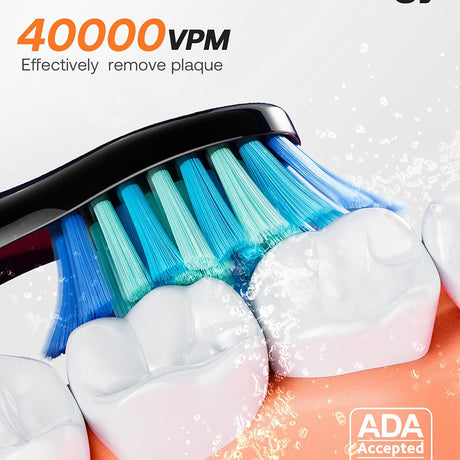 Bitvae Electric Toothbrush Daily (D2), Ultrasonic, 8 Heads, Case, Timer, 5 Modes, W-shape Bristles, Rechargeable, Alb